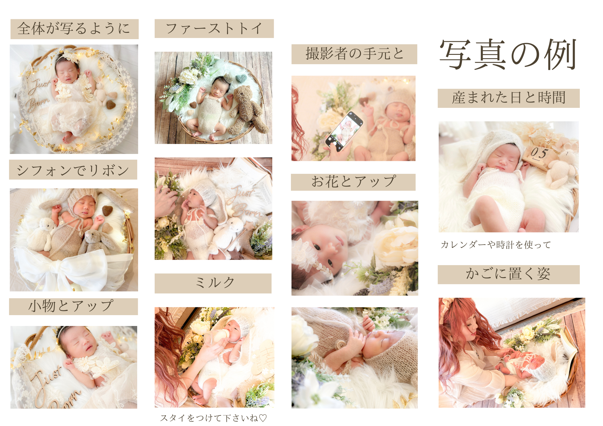 写真の例（かご型）